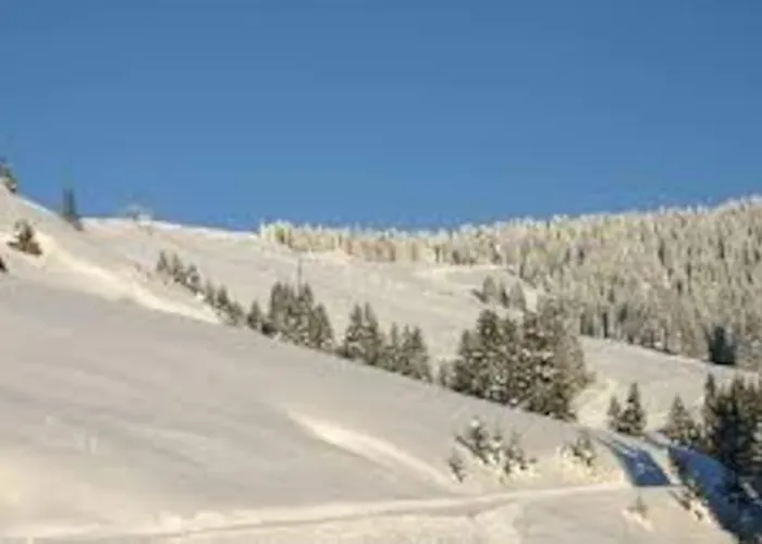 La Ferme Du Nant - Portes Du Soleil