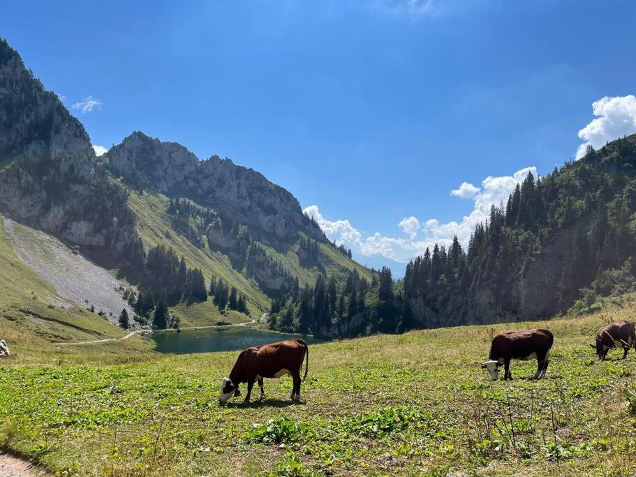 La Ferme Du Nant - Portes Du Soleil Appartement Abondance