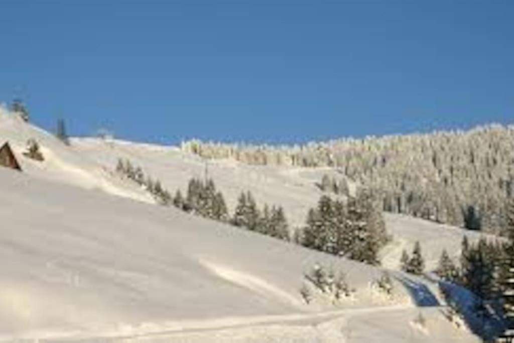 La Ferme Du Nant - Portes Du Soleil Apartment