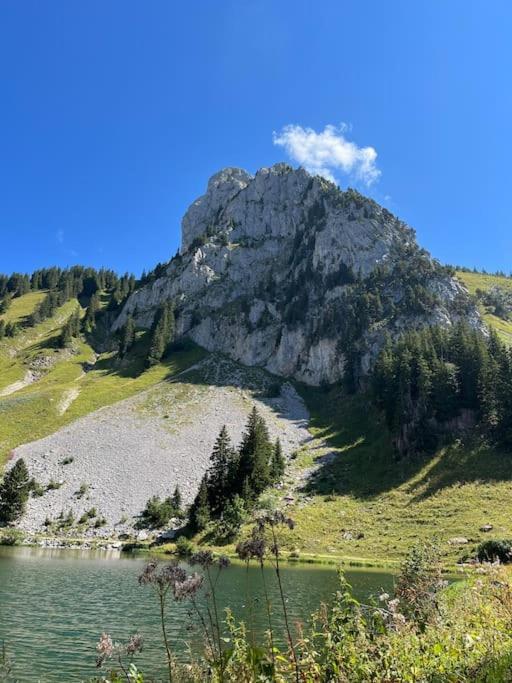 La Ferme Du Nant - Portes Du Soleil * La Chapelle-d'Abondance